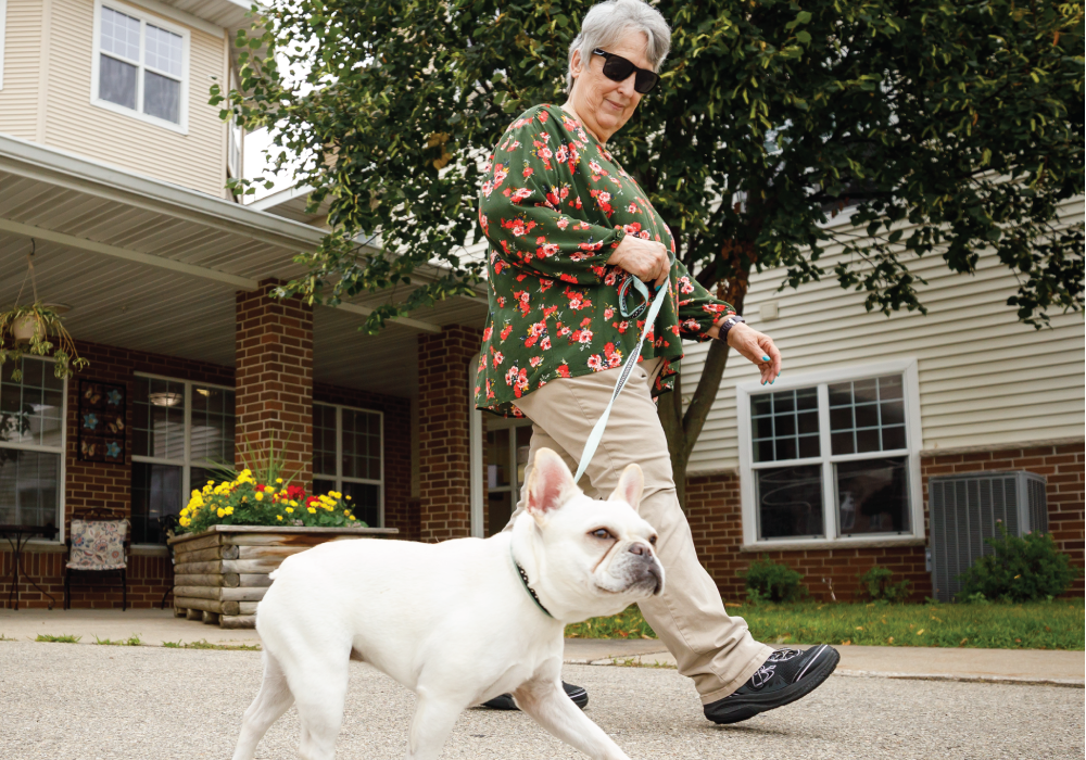 Senior woman walking her Boston Terrier Dog